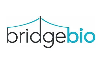 Logo Item